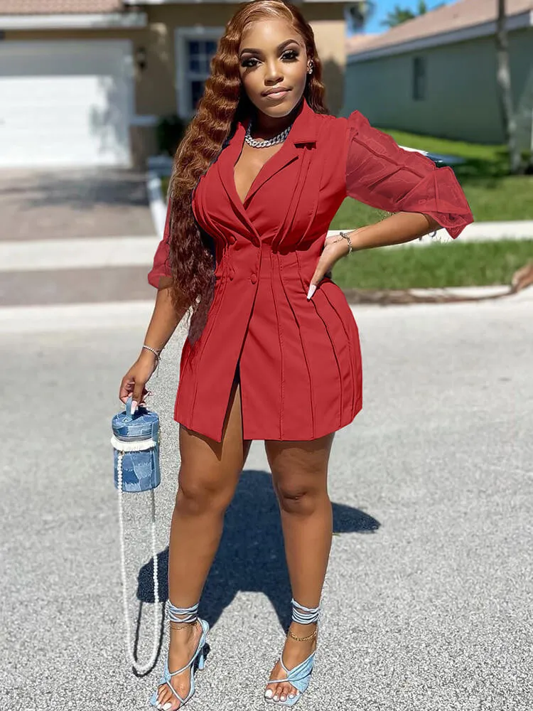 Mesh Bishop Sleeve Button Down Pleated Mini Dress