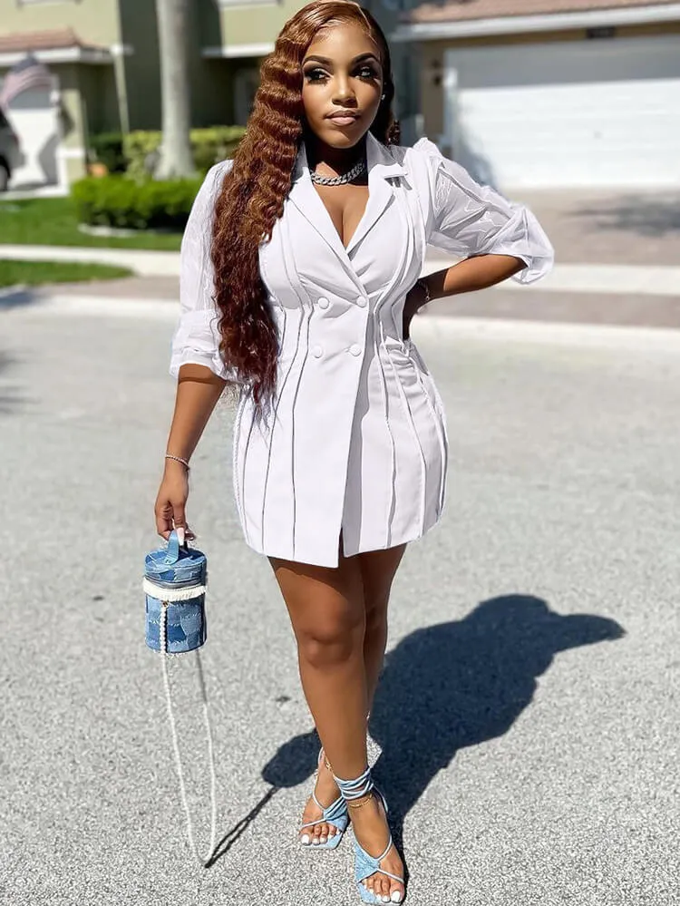 Mesh Bishop Sleeve Button Down Pleated Mini Dress