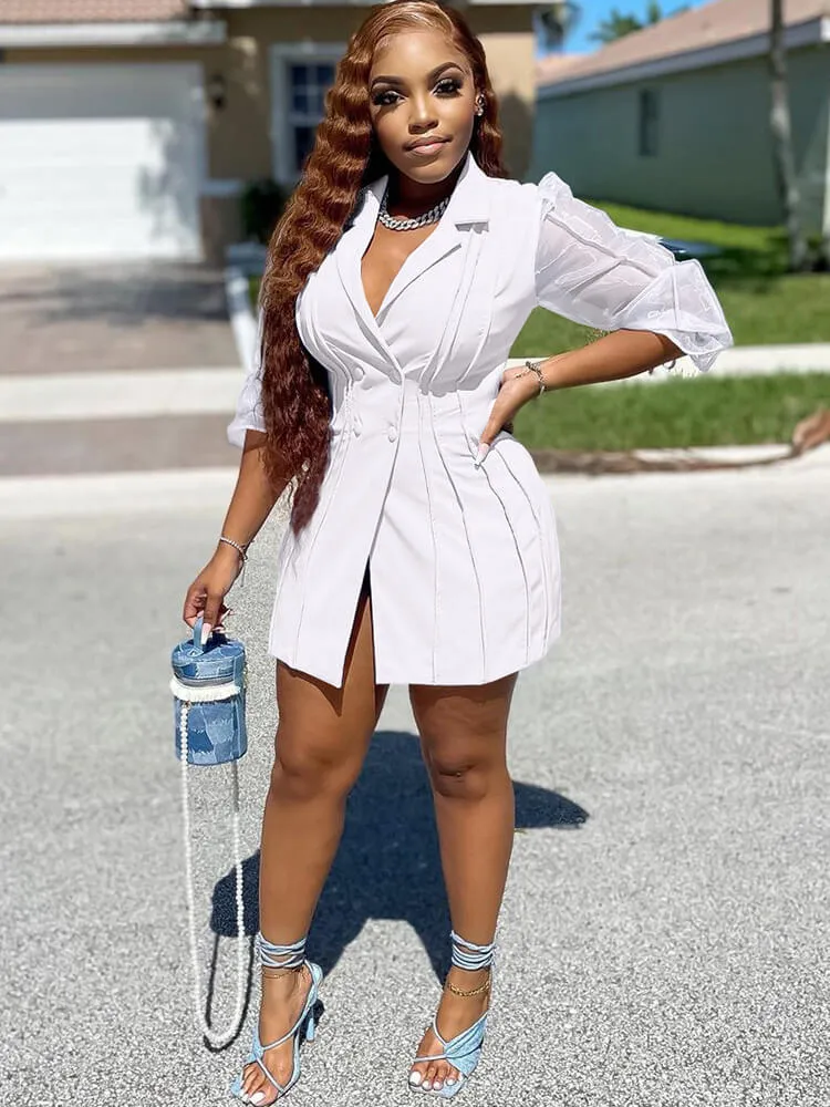 Mesh Bishop Sleeve Button Down Pleated Mini Dress