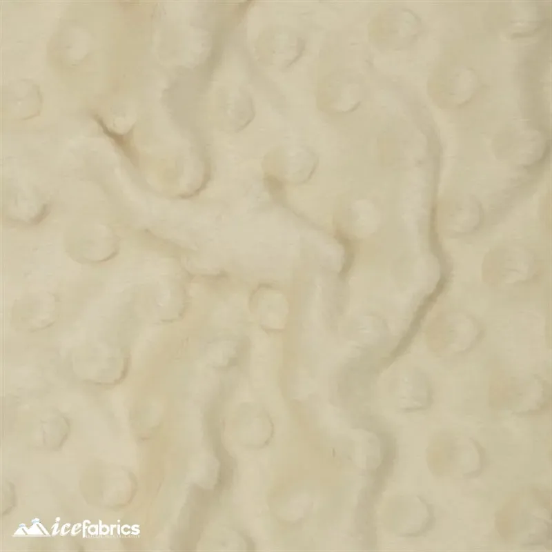 Minky Dot Fabric Blanket Fabric