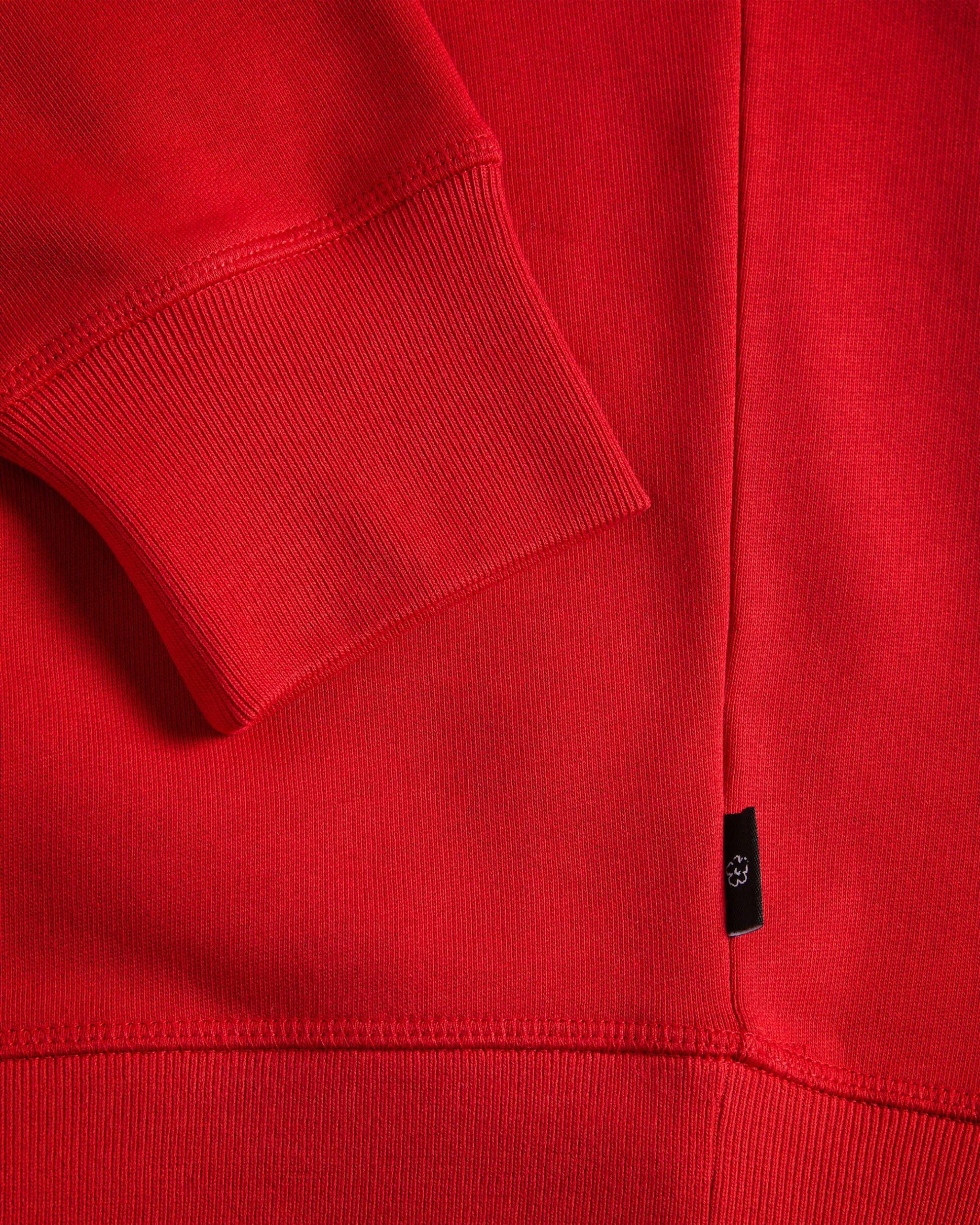 Ted Baker Aye Long Sleeve Relaxed Graphic Sweatshirt | Red